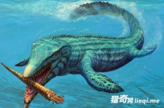 Զ����Щ�������ޣ�������������Ƿ���?