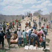 ʵ�ľ��Ͳ������ﱻ��ɱ