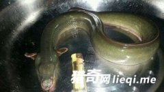 ���Ӳ��񡰳�����Ļ����� ��֪������������