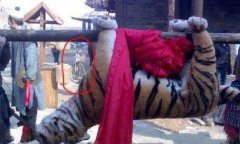 Ӱ�Ӿ��д��ﾵͷ��Ч�������֣���֪�����������������Ϊ֮