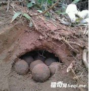  ����ɽ���ڳ�����Բ�� ��˲�䱻����