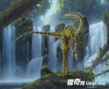 8��������ʷǰ���Զ�ź��������Ӵ��൱��һ��С�ͷɻ�