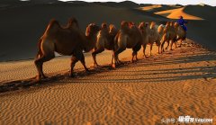 һ����Ʊ3500Ԫ���й����ľ��㣬����Ϊֹ�ι��οͲ���5��