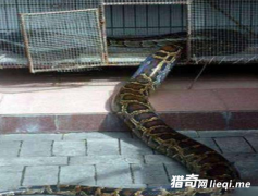 ���Ӿ���ǰ����һ��С�ߣ�