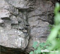 ɽ�ﳣ��������С����֧��ɽʯ��������ʲôԢ��