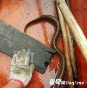 ũ��С�������һ�����������������ȴ�׷�Ȱ���������