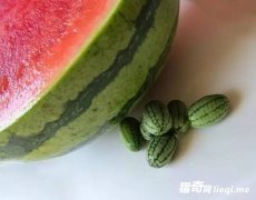 �������������������������ѻ�С��������