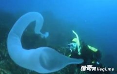 ǱˮԱ�����ĵ��������� ����������