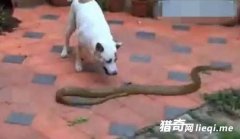 Ů�ӼҴ������ ��ֻ�����ľٶ����˸ж�