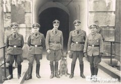 ��ս�¾������Ǻ����ǵĳ�������������Ǽɵ�����������̹��Ȯ