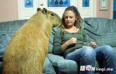 Ů������һֻ�ٽ��صġ������󡱣�����ȫ����Χ��!