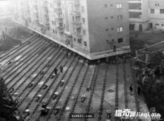 ��ʷ�α���û�еġ������Ƭ������һ�ŷǳ���