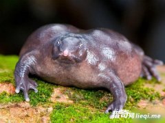 ����ʮ�����﷢�֣����һ���ѵ��Ǵ�˵�еĶ�����