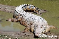 ��22�־޴�Ķ��� ÿ�ֶ����˺���