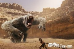 ��Щ���������ưԵ�����Ȼ�����£���һ����ʧ�ֻ���˭