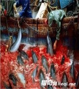 ֱ���ձ����صĴ�ͳ�Ļ���ɱ����ڡ�����Ȼ��Сѧ���ֳ�ѧϰ��