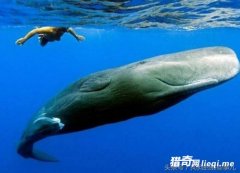 �����ķ�㣬һ�鹻������