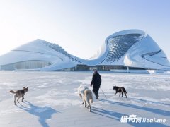 ֱ�����������������10���й�����