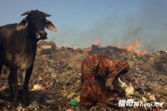 ����������ĳ��У������ѻ���ɽ�����Ǿ����Ļ��ţ�