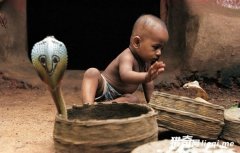 ӡ�ȡ����ˡ���ͥ�к����������߶�Һ�����Ჶ�����ʸ�Ȣ������