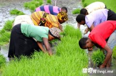 ������̫�������ط���ȴ�������Լ�������ŷ���˺���