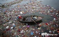 ӡ�ȡ����ӡ�ˮ�������ĭ�����඼�����ߣ���������Ӿ