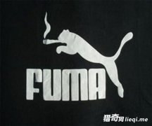 ��ЩɽկƷ���ڼ�ð�̱��������˼��£��������Լ���ƭ��