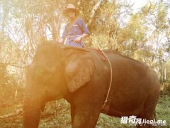 ���صġ������ǡ����������ĳ��ˡ���Ʒ���������˵ķ��