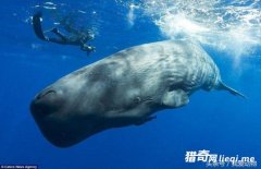 �����������ʮ�ֶ�����в����ѵĿ���