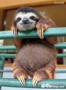 ����ʮ�����������ţ�ڰˣ��ڹ������ʨ�ӵڶ���