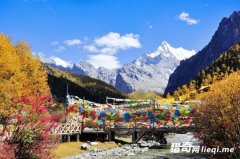 �����Ƕ�����Ƭ��������Ϊ���������������