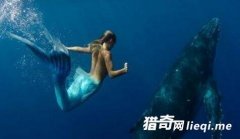 ������Ҳ������ �ż����ض��г�ª��