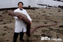 ���Ӻ������־�����״�� ��Ŀ���Բ²�