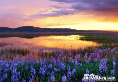 �Ŵ��ﷸ�����ŵأ�����Ϊ�����⽭�ϡ�������Ϊ�������Ĺ��硱