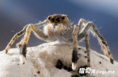 10�����������������Ϊ��֪��Ȥ�£�